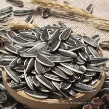 Novo design chinês tamanho grande 363 361 5009 sementes de girassol pretas a granel
